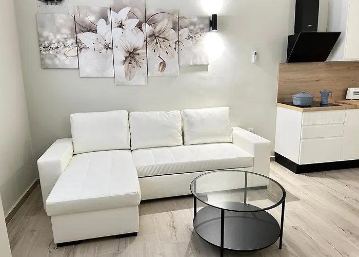 Ribera Daire Cordoba